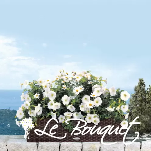 Balconera Cottage 80